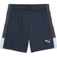 Puma Garçons, Bas de sport, IndividualLIGA Training Shorts Jr (152), Bleu, Gris
