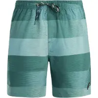 Protest Lomond Swimming Shorts Vert S Homme