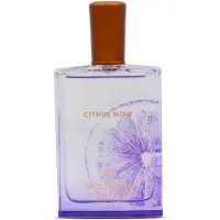 Molinard Citrus Noir, Eau de Parfum, 75 ml (unisex)