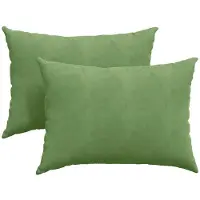 vidaXL Coussins de canapé 2 pcs Vert clair 70 x 50 cm
