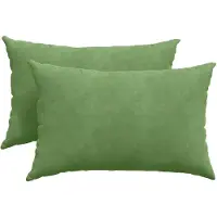 vidaXL Coussins De Canapé 2 Pcs Vert Clair 60 X 40 Cm