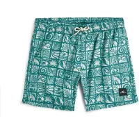 O'Neill Print Swimming Shorts Bleu 7-8 Years Garçon