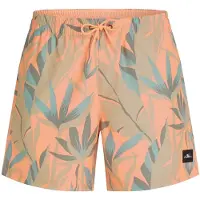 O'Neill Shorts de bain 'Print 16' menthe / saumon