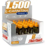 Nutrisport L Carnitine 1500 Vials Box Orange 20 Units Gris