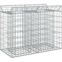 vidaXL Jardinière surélevée en gabions, 100 x 50 x 80 cm, acier galvanisé, argenté