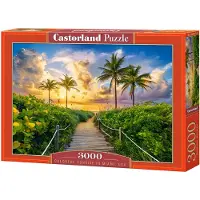 Castorland Puzzle de 3 000 pièces « Couches de soleil colorées à Miami, États-Unis » 300617
