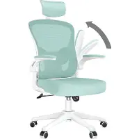 Bigzzia Chaise de bureau - Chaise de bureau ergonomique - Chaise pivotante avec support lombaire - appui-tête, accoudoirs et hauteur réglables - blanc et vert