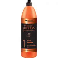Chantal Prosalon Protein Therapy Shampooing revitalisant 1000g