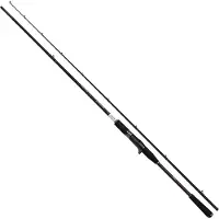 Shimano Yasei BB AX Swimbait & Big Bait, 2,4m, 7,87ft, 120-170g, 2 Teile, Casting Angelrute, moderate, YASBBAXSWBC24XXH