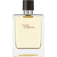 Hermès Paris Terre D'Eau de toilette flacon de 100 ml