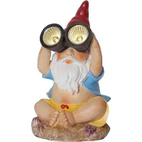 Star Trading Figurine solaire LED « Gnomy », nain avec jumelles