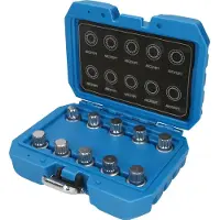 Sonstiges KS TOOLS Kit d'outils de démontage pour antivol de jante BT691310 760g