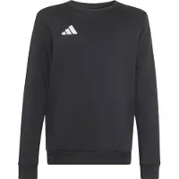 Adidas Entrada 26 Sweat Sweatshirt Noir 5-6 Years Enfants