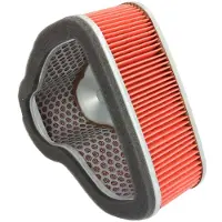 HiFlo Honda Hfa1925 Air Filter Rouge