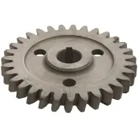 DT Spare Parts Roue dentée, pompe à huile 2.53423