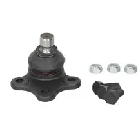 Delphi Support-/ joint