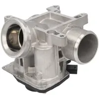 Delphi Vanne EGR EG10737-12B1