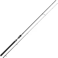 Westin W3 Powershad Spinning Rod Argenté 2.44 m / 15-40 g