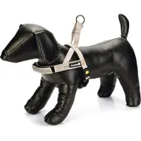 Beeztees Harnais Pour Chien Premium Parinca