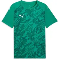 Puma Maillot graphique teamFINAL, taille : M, couleurs série : Sport Green-White-Power Green