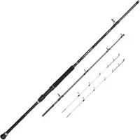 Penn Squadron Iv Boat Sensitip Spinning Rod Argenté 3.00 m / 300 g