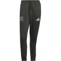 Adidas Pantalon de sport 'Audi Formula One Team DNA' gris foncé / rouge / blanc
