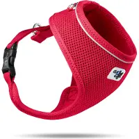 Curli Basic Geschirr Air-Mesh Rot XS