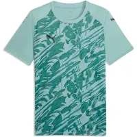 Puma Garçons, T-shirt de sport, teamFINAL Graphic Jersey Jr (164), Vert, 164
