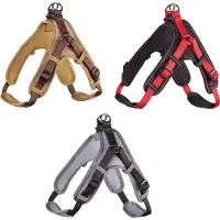 Hunter Vario Rapide Harnais En Néoprène, Large, 6780cm, 25mm, Rouge/Noir