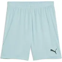 Puma Hommes, Bas de sport, teamGOAL Shorts (S), Vert