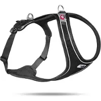 Curli Magnetic Belka Comfort Geschirr Schwarz M