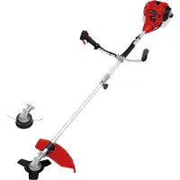 Einhell GC-BC 25/1 I AS 23 cm 600 W Petrol Noir, Gris, Rouge