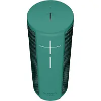 Ultimate Ears Blast Haut-parleur portable Bluetooth/WLAN Batterie 12 heures IP67 Vert