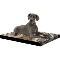 Bertoni Arco Design | Matelas pour chien XL - 80 x 55 x 5 cm - Montana - Orthopédique - Housse lavable - Grand confort
