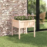 Prolenta Maison Exclusive - Jardinière « Nature » 70 x 70 x 70 cm en pin massif