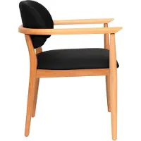 AEA Schwarzer Lehnstuhl Designer Esszimmerstuhl Luxus Einsitzer Holzmöbel