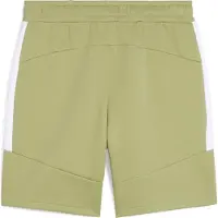 Puma Hommes, Bas de sport, Short teamEVOSTRIPE (3XL), Vert