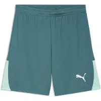 Puma Hommes, Bas de sport, teamLIGA26 Shorts (3XL), Vert