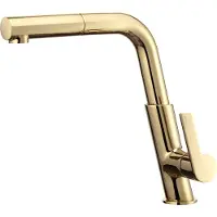Deante Kitchen faucet with pull-out spout