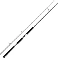 Shimano Beastmaster AX Pilk 2.40m 40-95g 2-diil