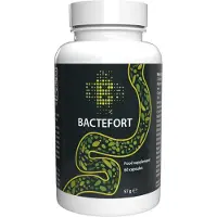 Fyron Group B.V. Bactefort - 60 Gélules