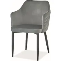 Feldmann-Wohnen Ensemble de 2 chaises de salle à manger et de cuisine Astor, gris
