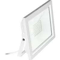 Eglo Projecteur à LED