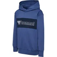 Hummel Atlas Hoodie Bleu 104 cm Garçon