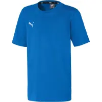 Puma Teamgoal 23 Casuals Short Sleeve T-shirt Bleu 13-14 Years Enfants