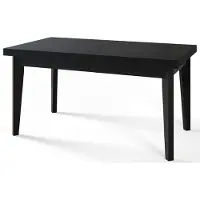 Alpi Möbel Skandi Table de salle à manger, rectangulaire, extensible, dimensions : 200-300 x 100 x 78 cm, couleur : noir, avec pieds en bois de couleur noire