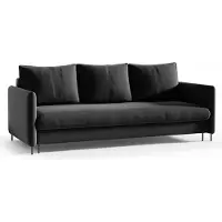 Bettso Canapé avec fonction sommeil et coffre de lit Canapé à ressorts Canapé convertible avec fonction lit BELIS noir