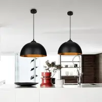 TolleTour Lampe suspendue 2 pièces Ø 30cm Abat-jour rétro Lampe suspendue E27 en métal Douille industrielle vintage pour max 60W, Ø 30cmSans ampoulepour salon,salle à manger,cave,bar