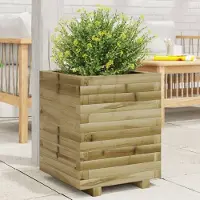 Prolenta Maison Exclusive - Bac à plantes 40 x 40 x 49,5 cm en bois de pin imprégné