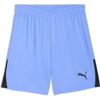 Puma Hommes, Bas de sport, teamLIGA26 Shorts (L), Bleu